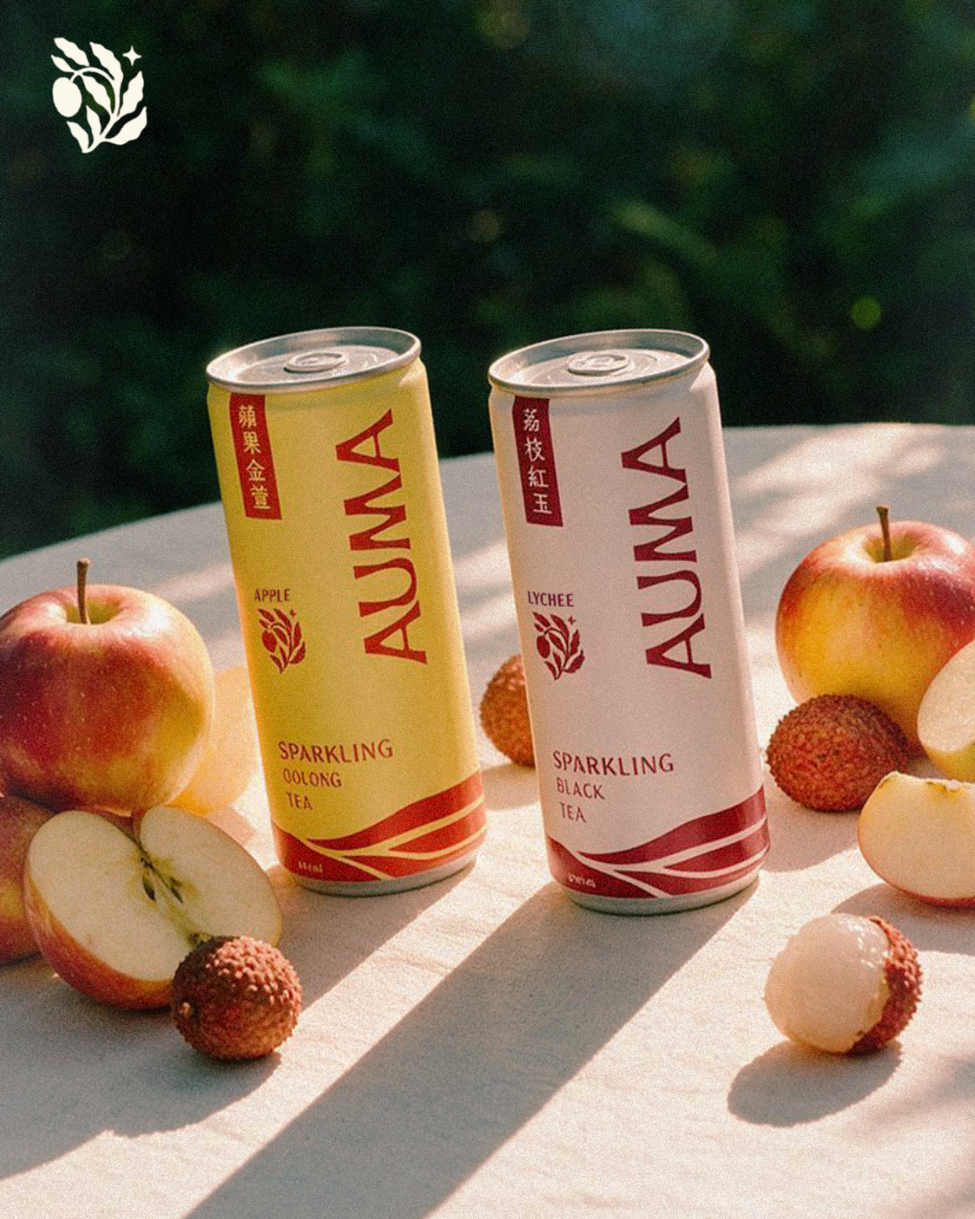 Auma Cans Table.png