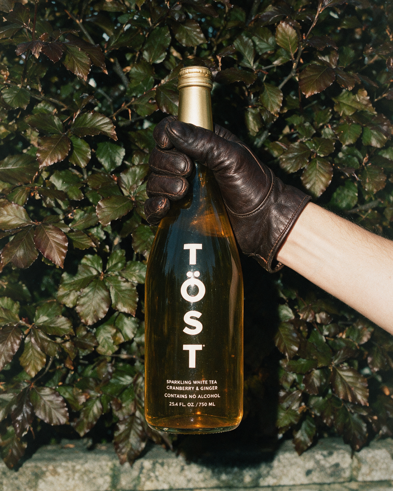 TOST_4x5_26.png