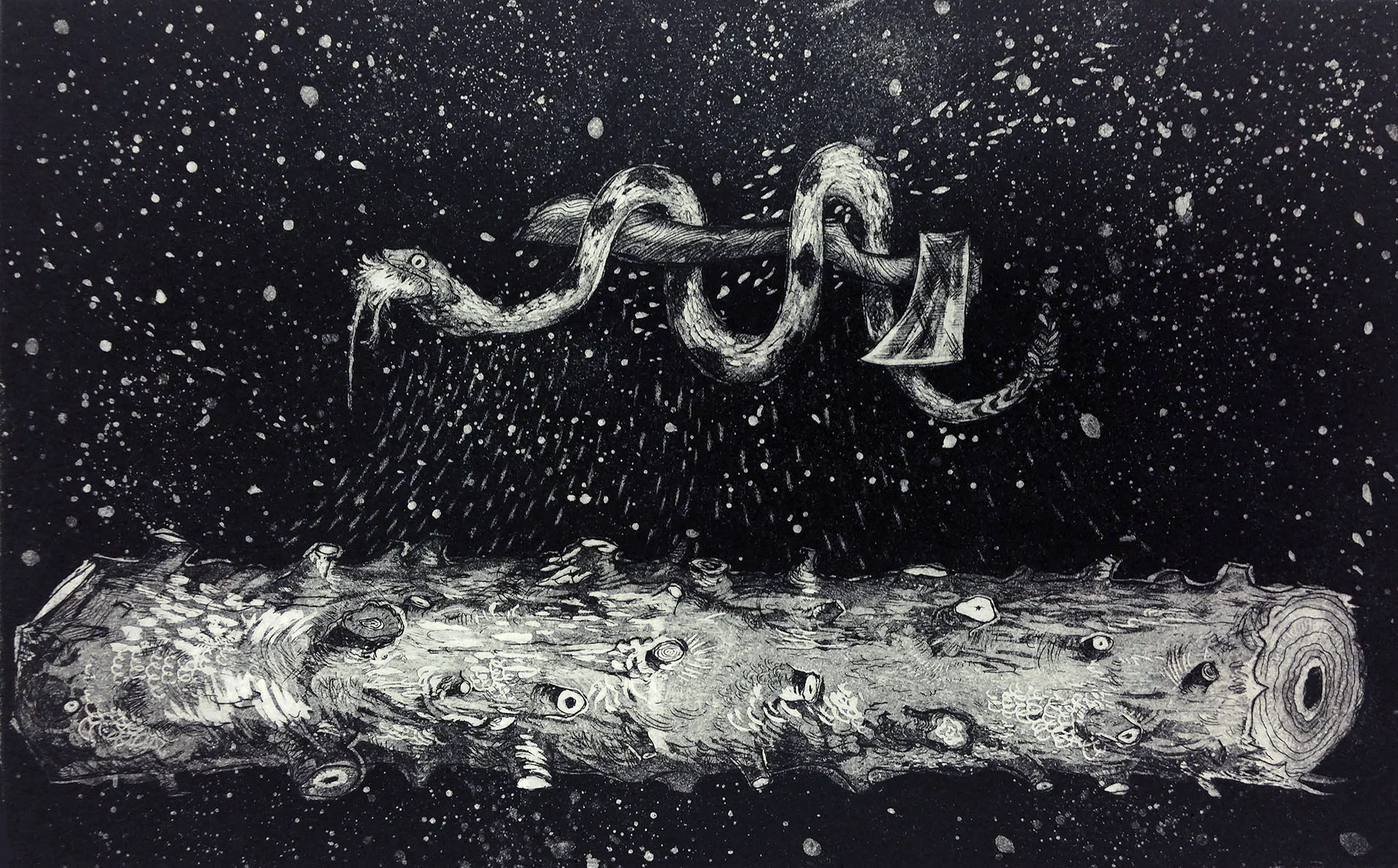 Workshop: Intro to Intaglio Printmaking -- Etching and Aquatint