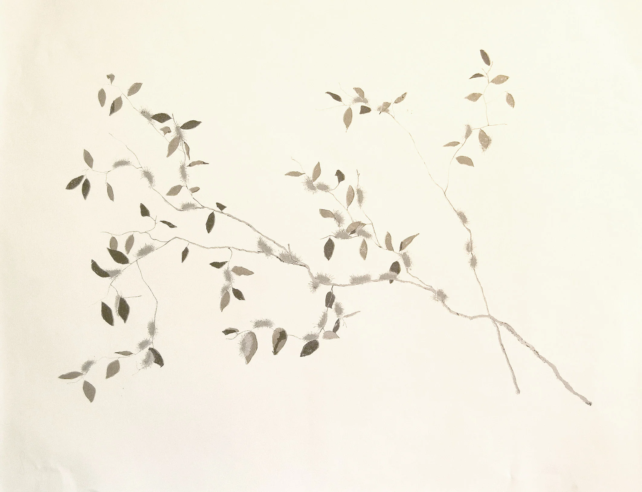 Intro to Screenprinting - Oct 10 2015