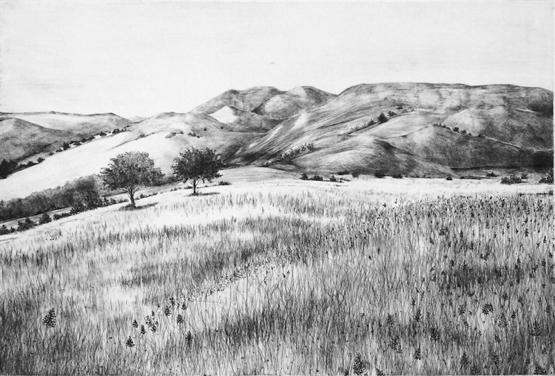 Hillocks by Heather Halpern