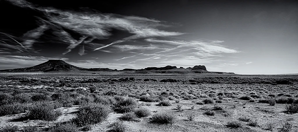 "Dancing Desert" by Deigh Bates