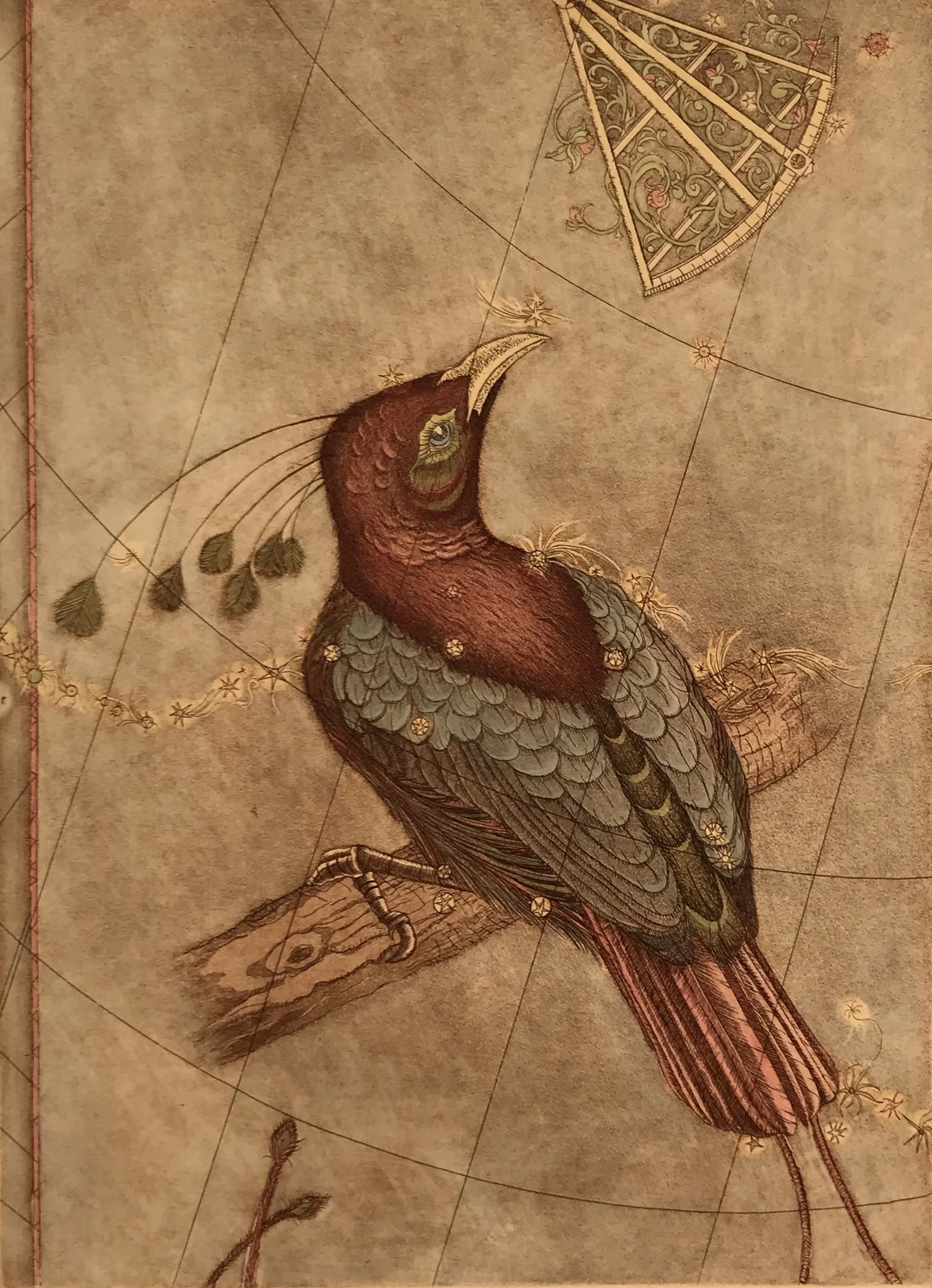 Currents: Air, Water, & Occupants