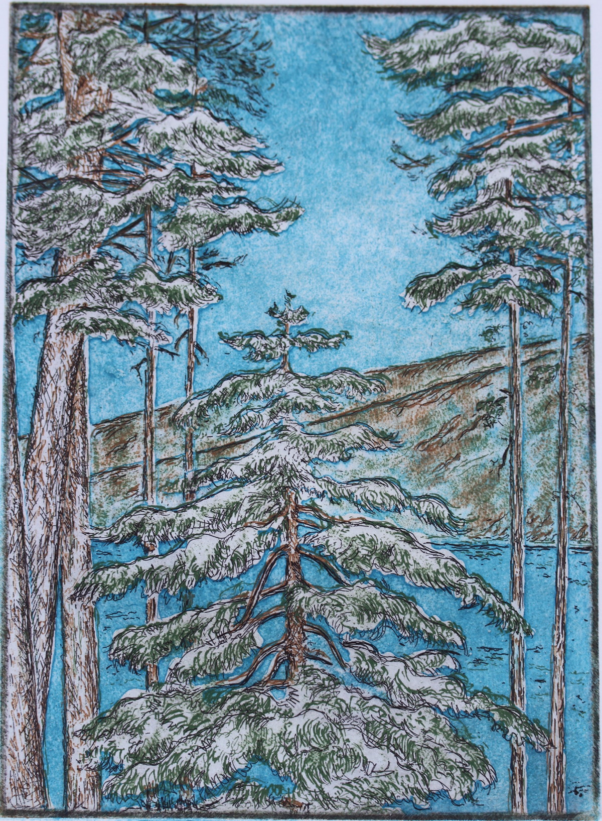 Lynn lake trees etching.JPG