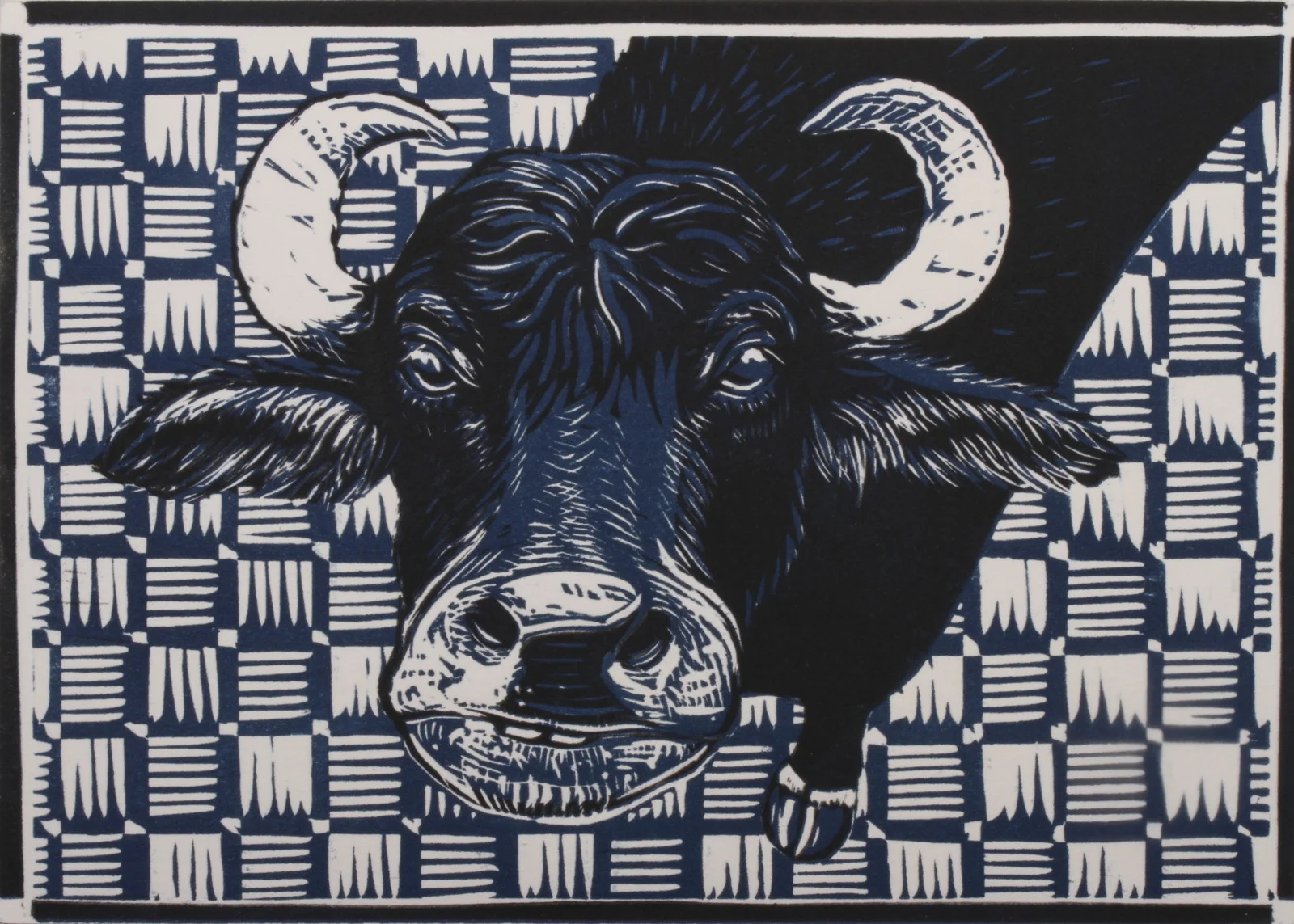Blue Ox