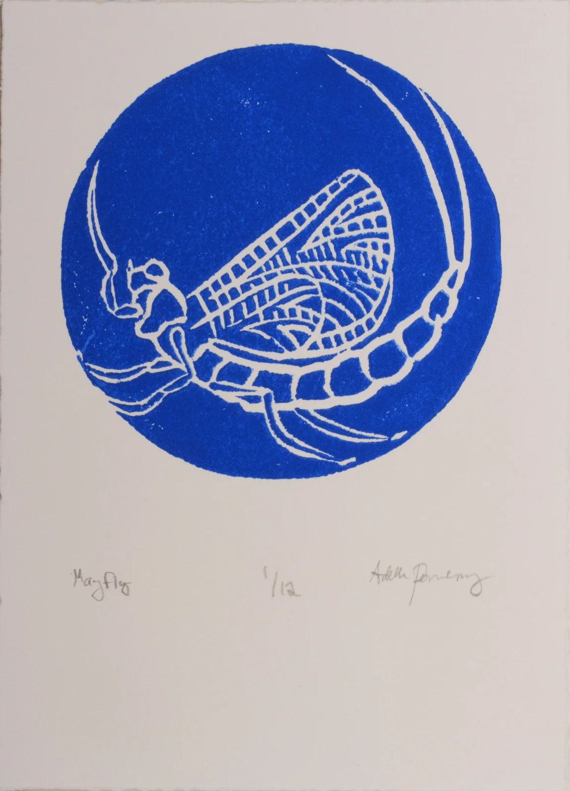 Mayfly