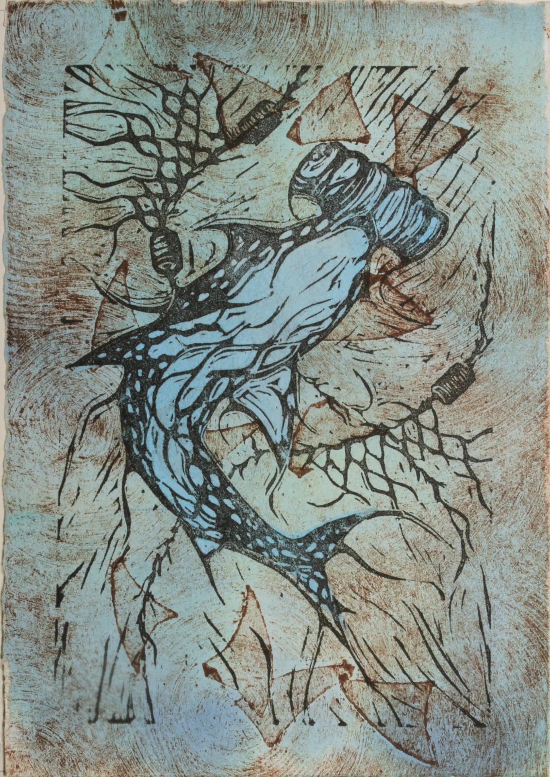  David Roon 