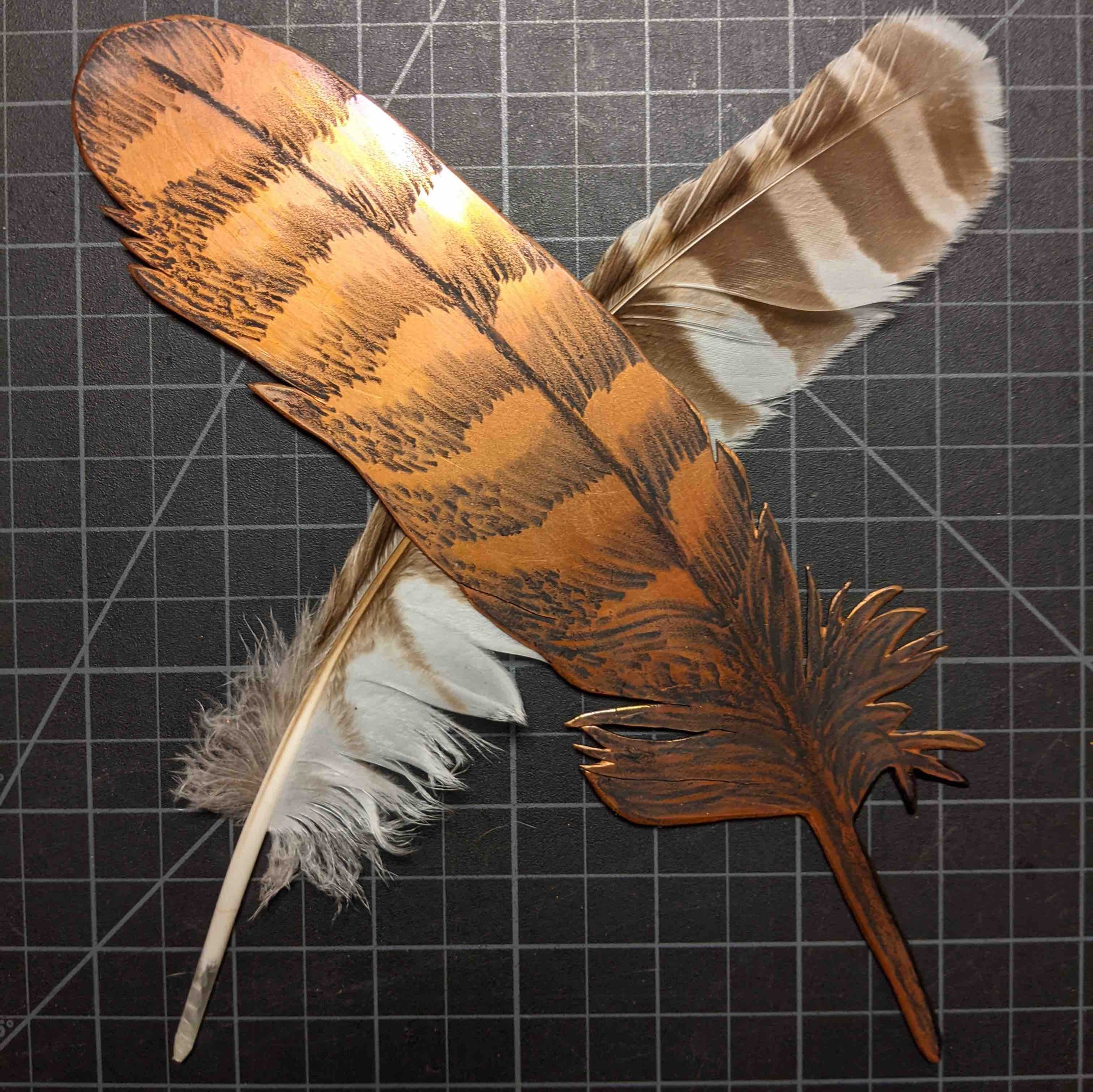 Feather_orig.JPG