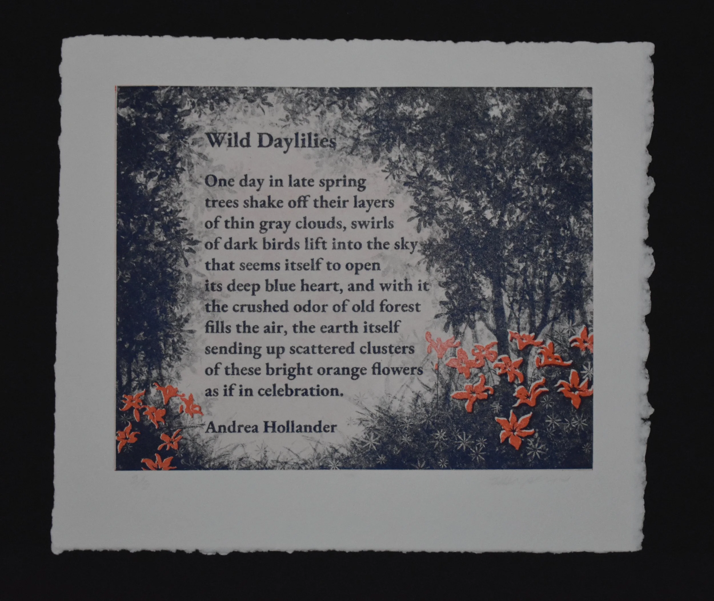 Copy of Wild Daylillies.jpg