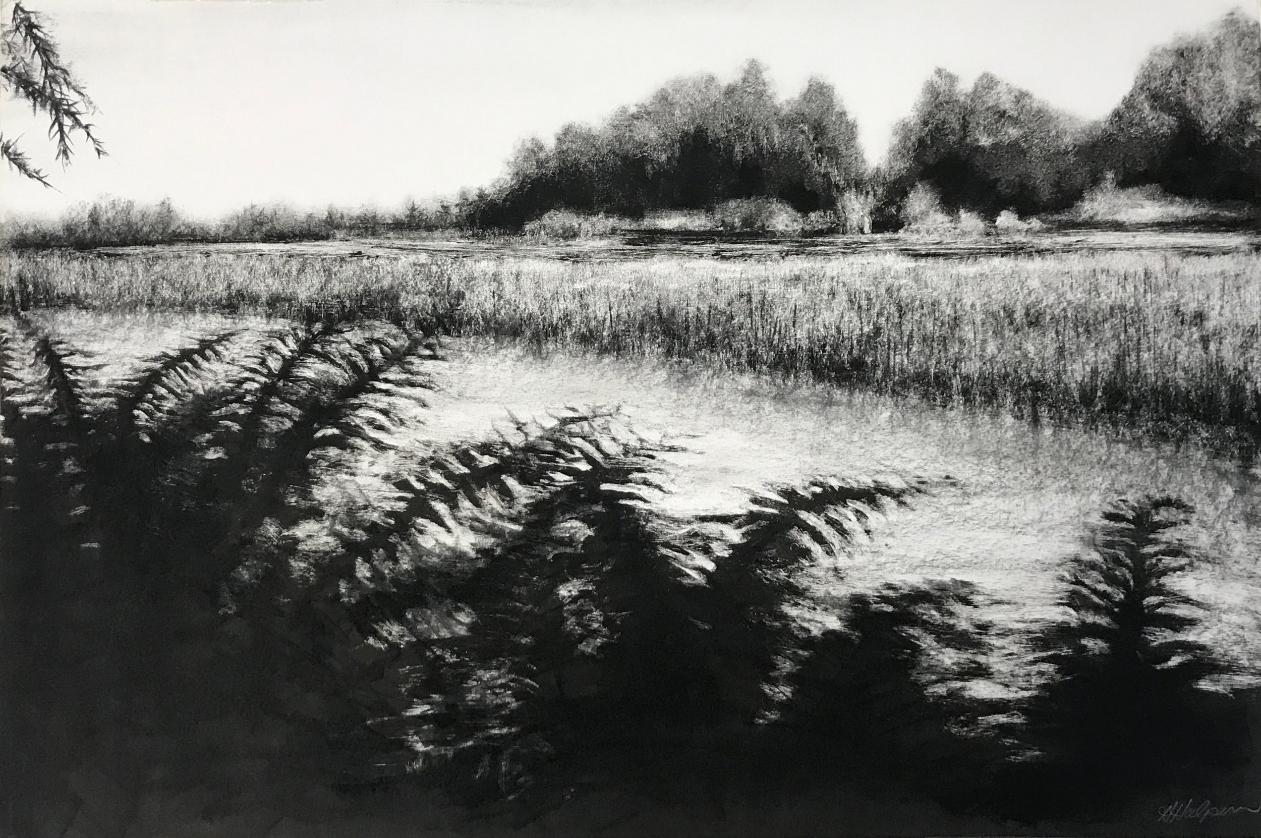 Monotype Exploration
