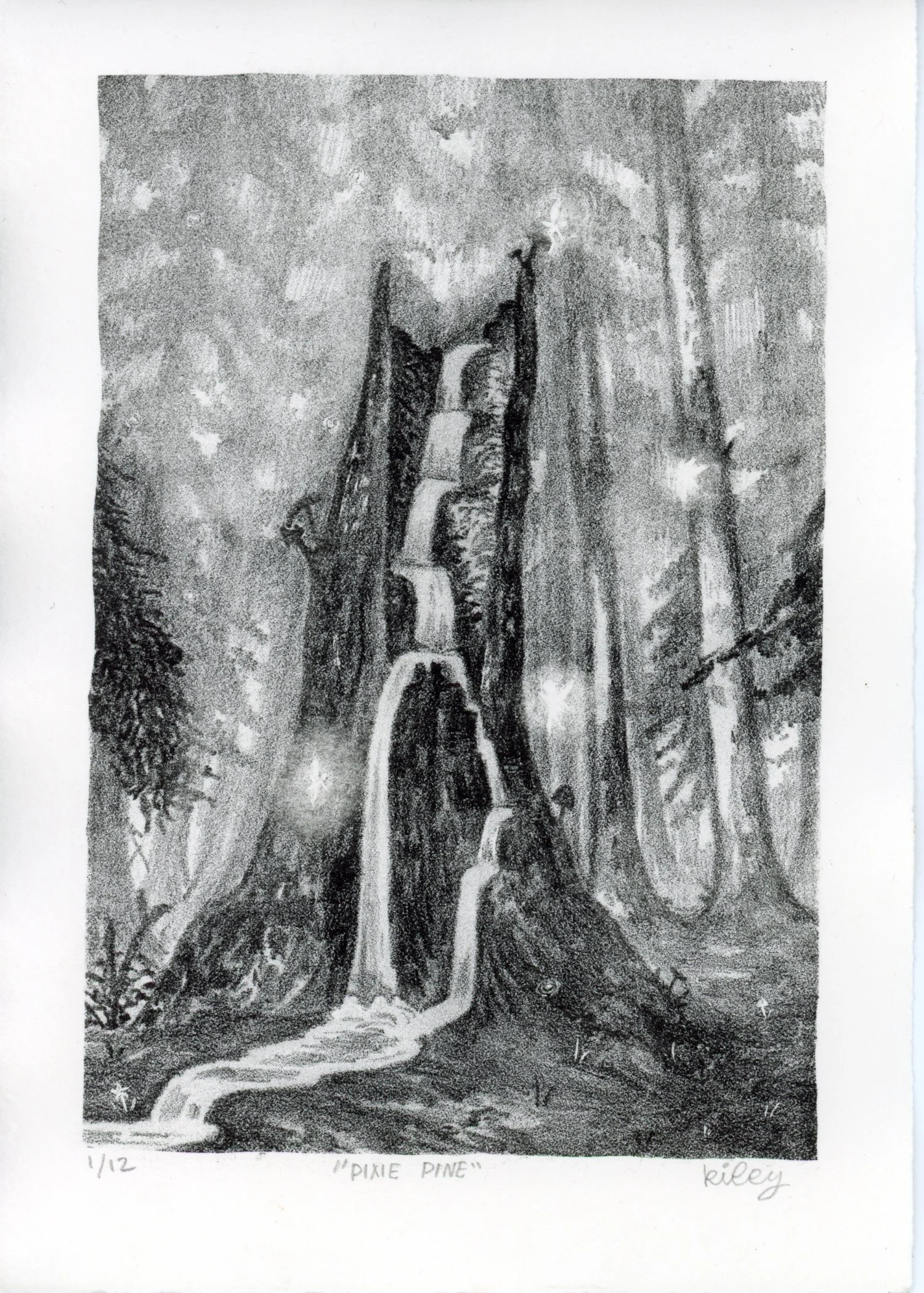 PX002.jpg