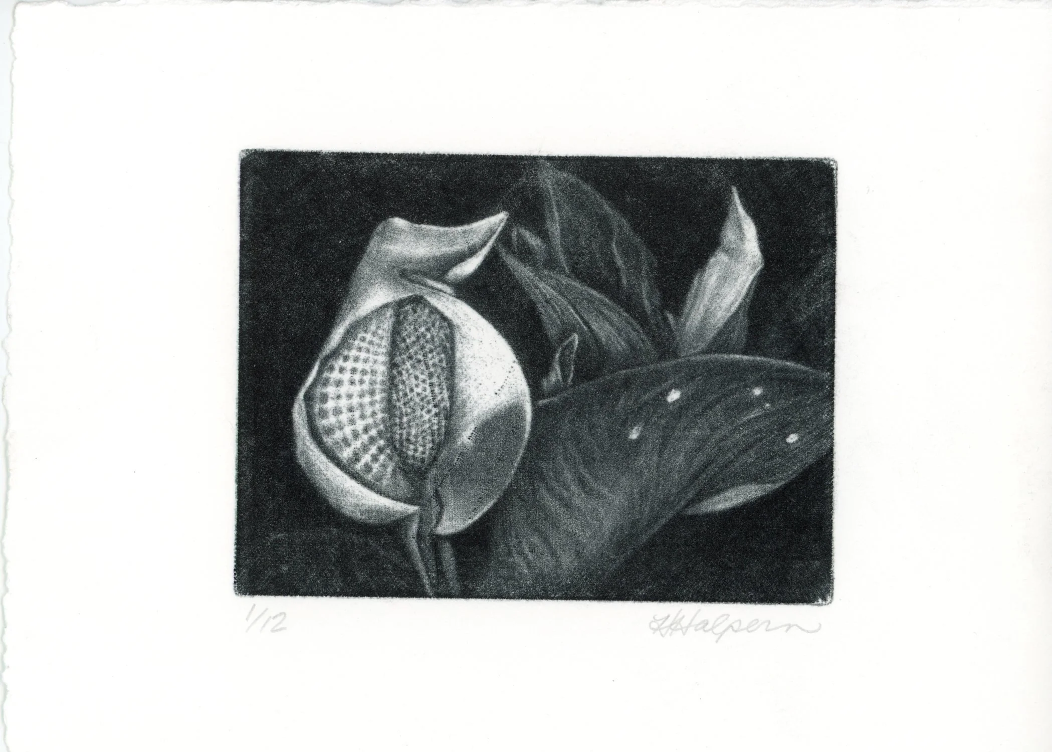 PX003.jpg