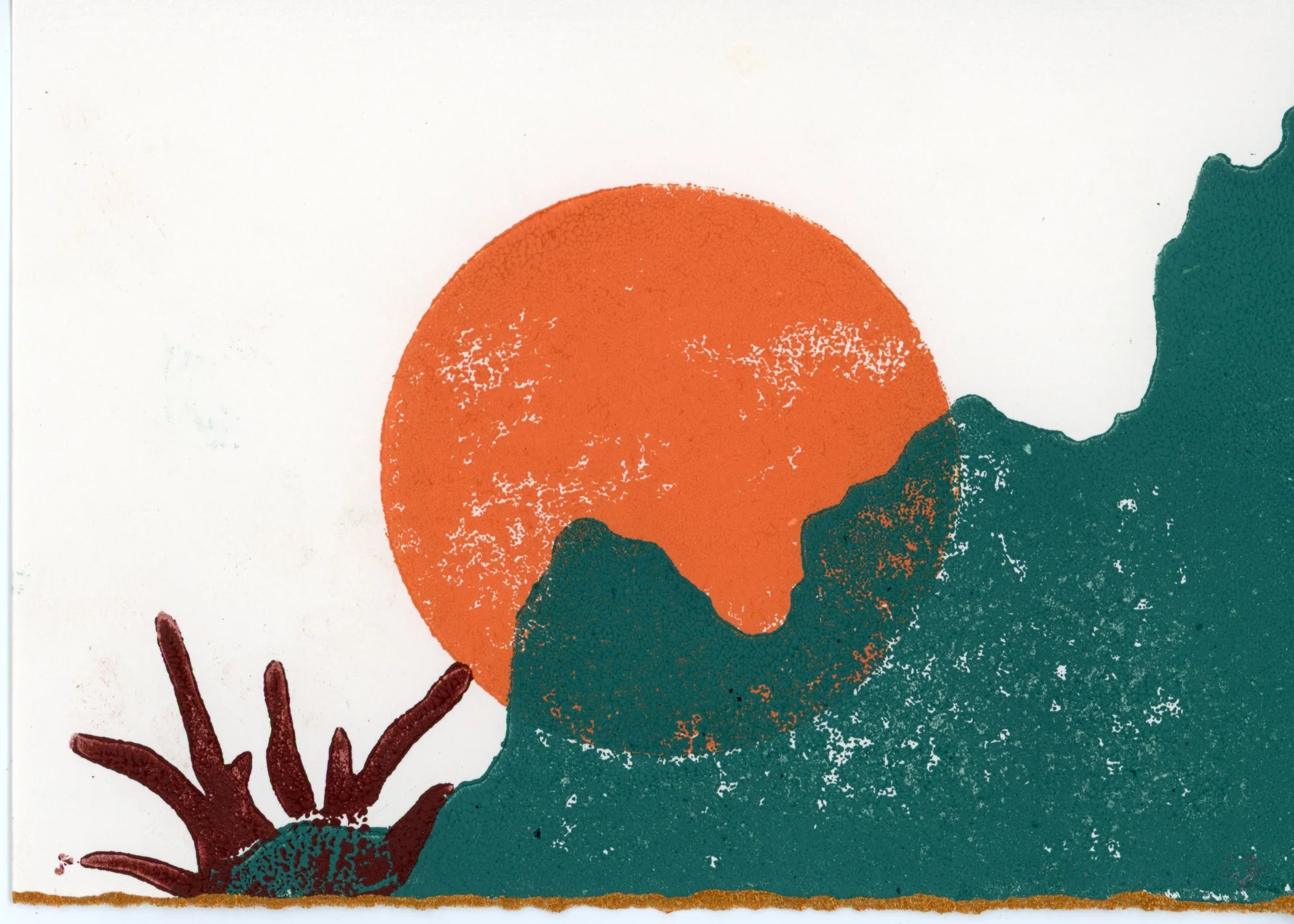PX010.jpg