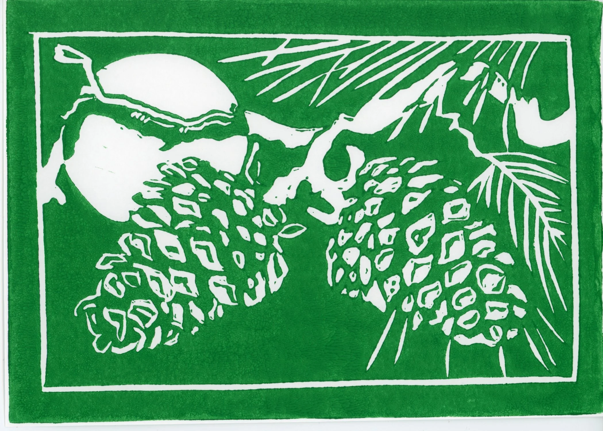 PX015.jpg