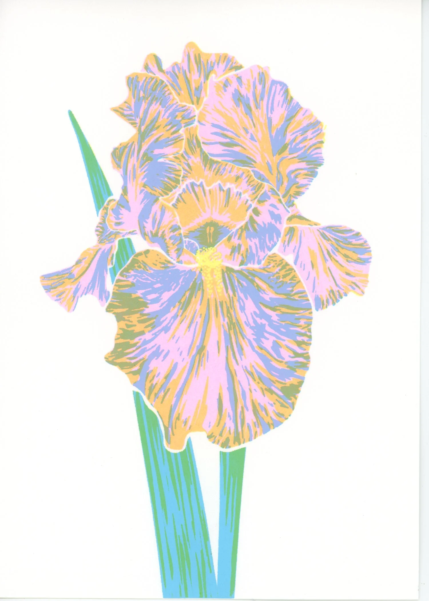 PX017.jpg