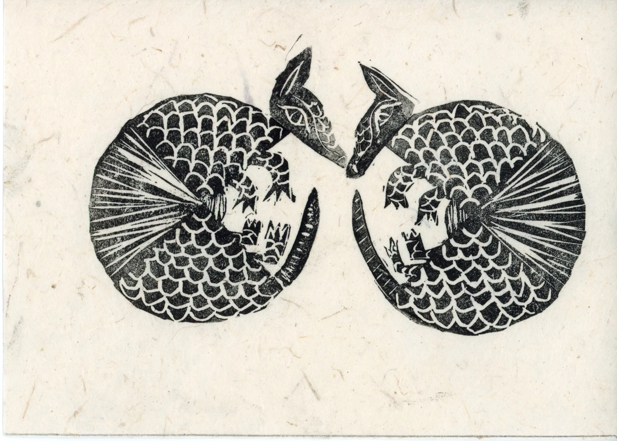 PX018.jpg