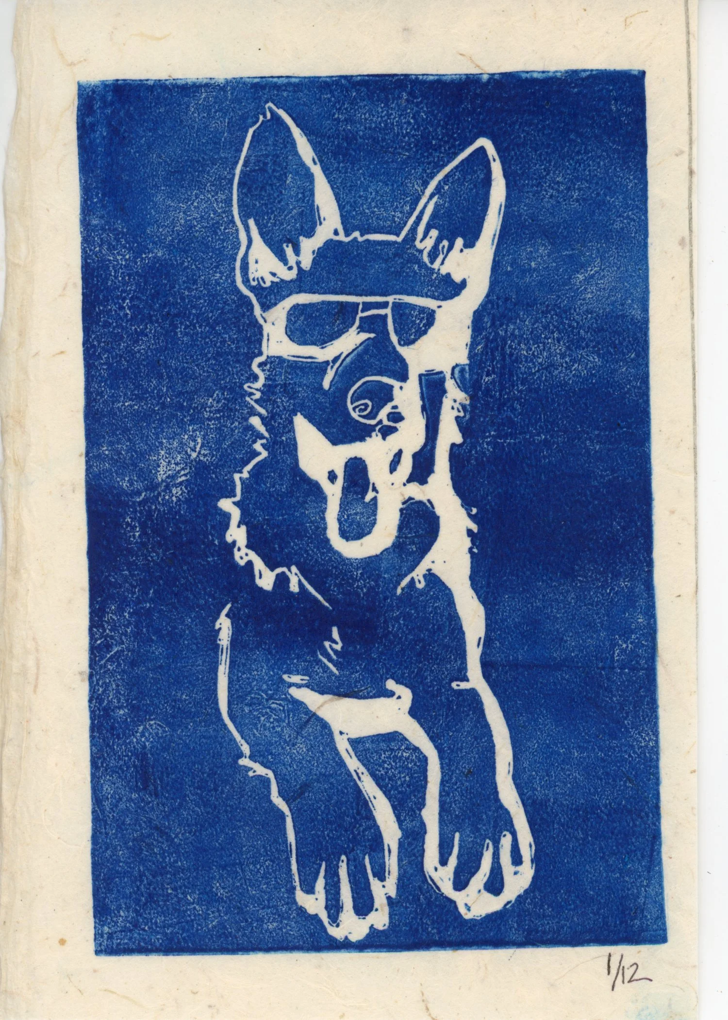 PX019.jpg