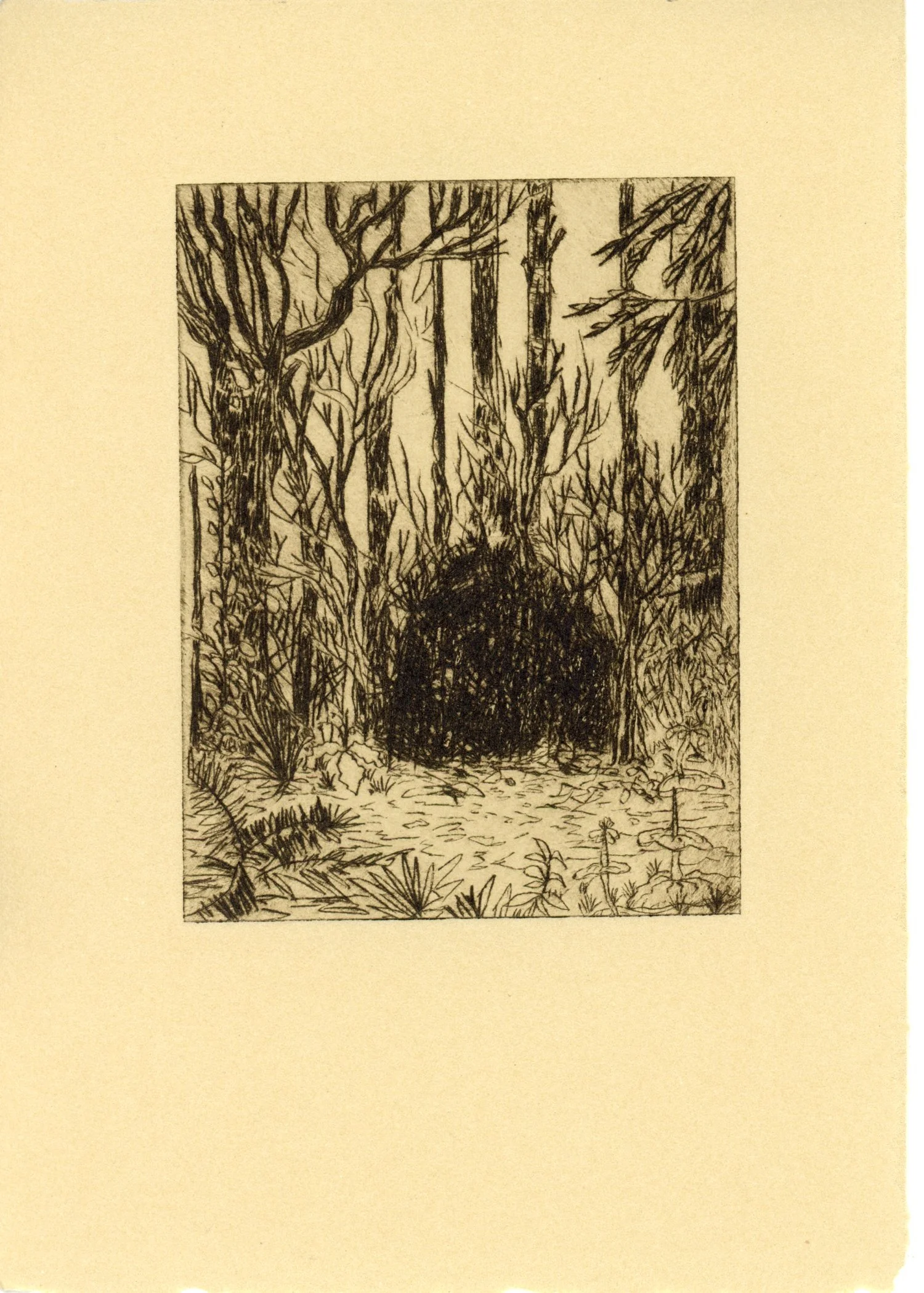 PX024.jpg