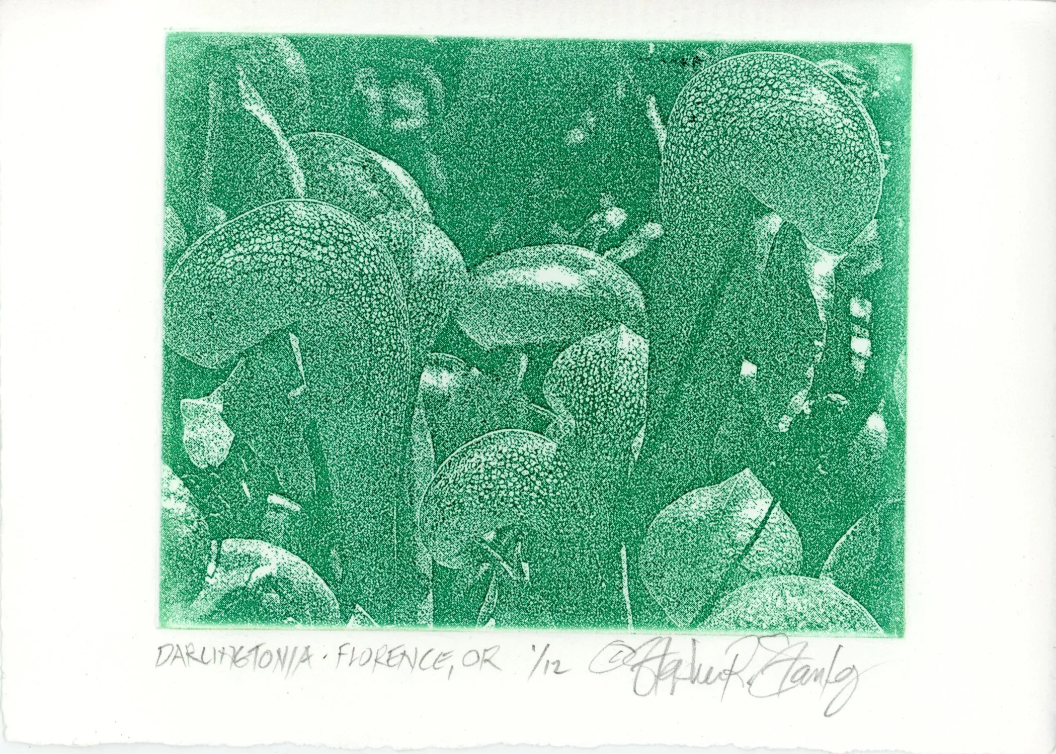 PX034.jpg