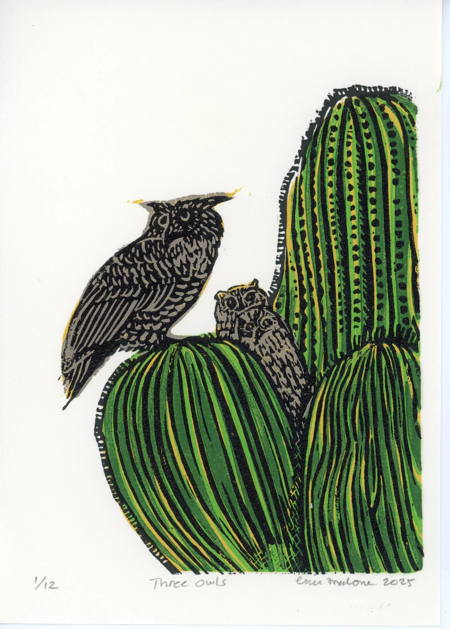 PX037.jpg