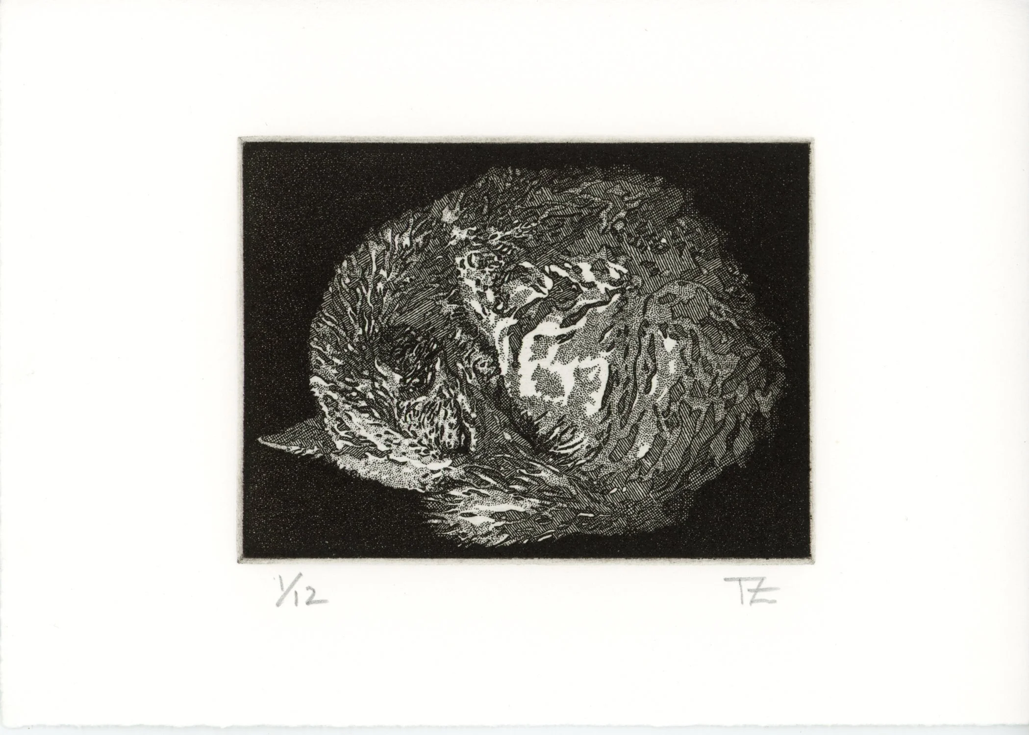 PX057.jpg