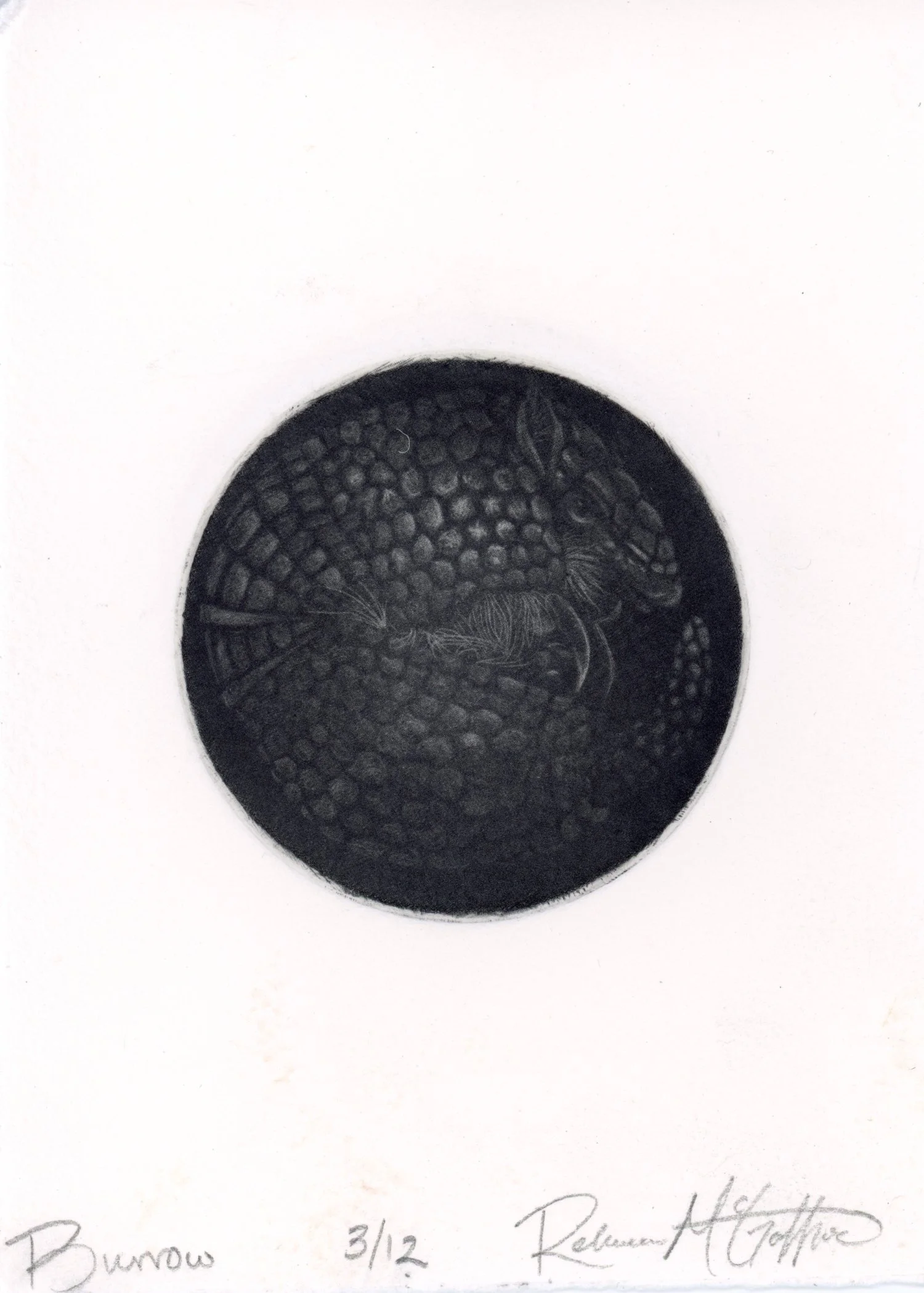 PX065.jpg