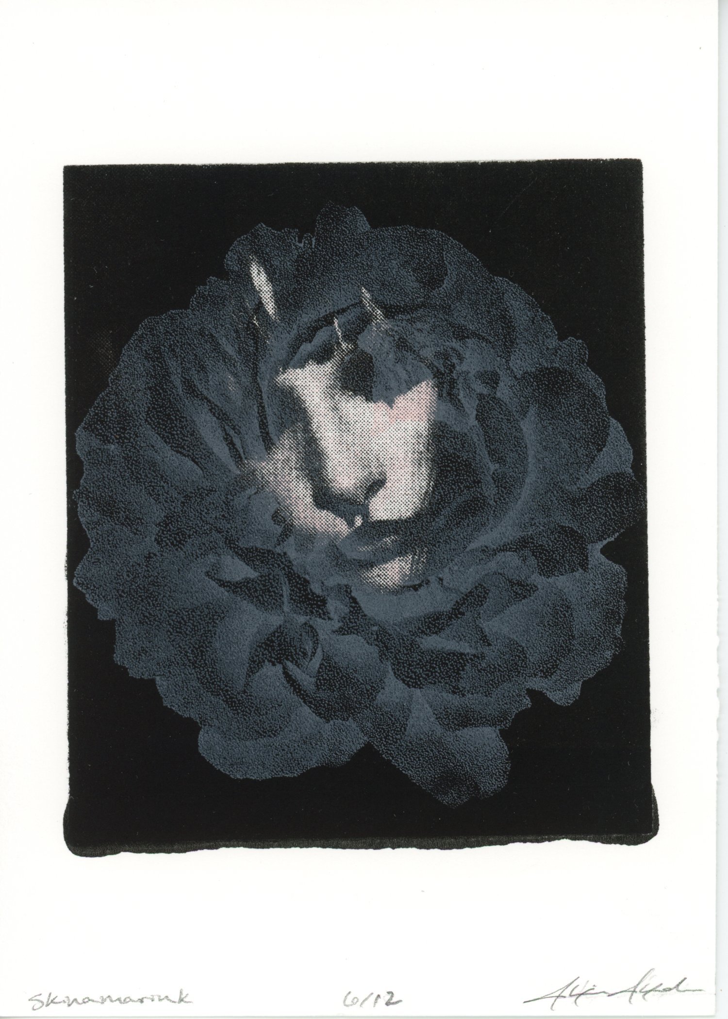 PX067.jpg