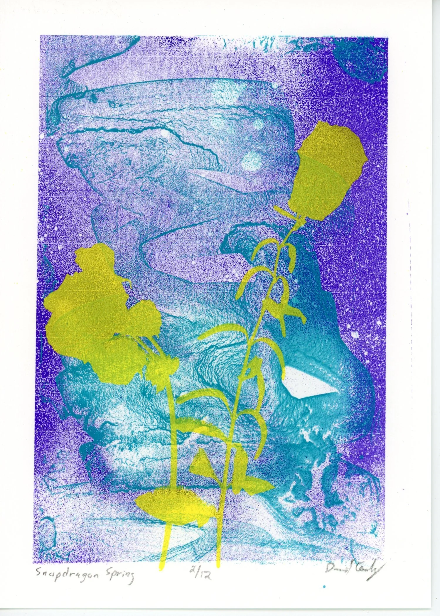 PX077.jpg