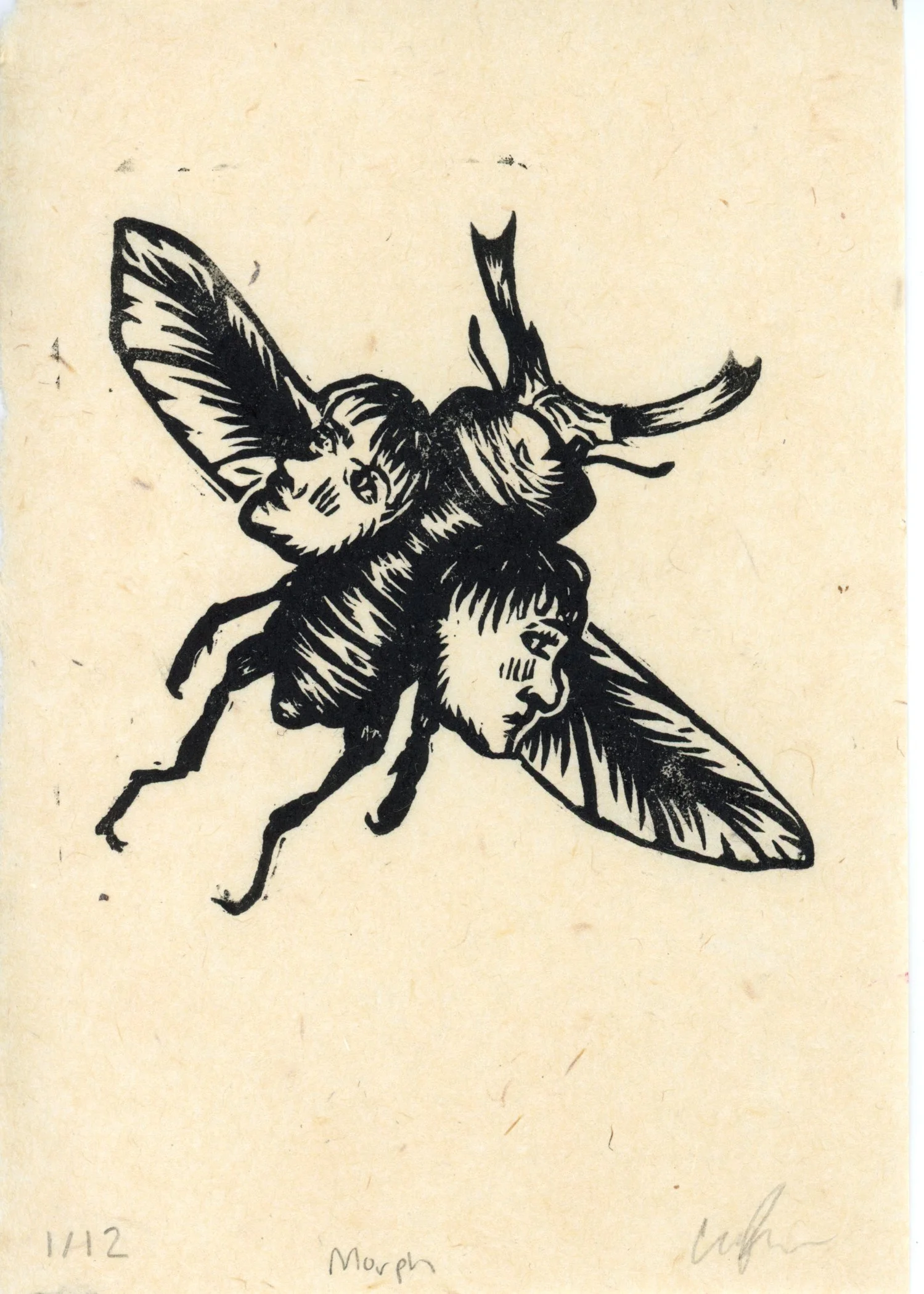PX086.jpg