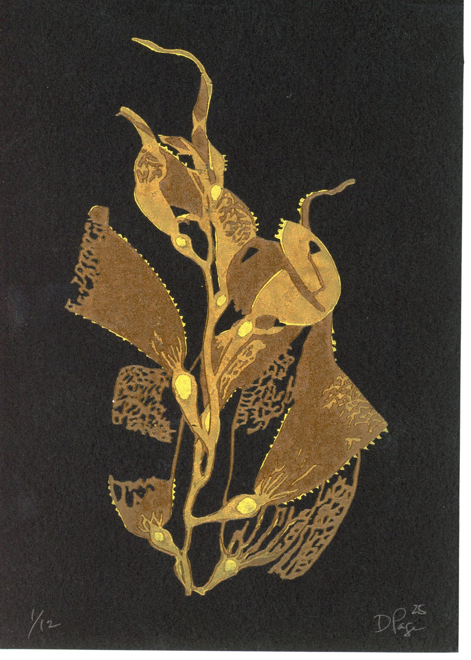 PX098.jpg