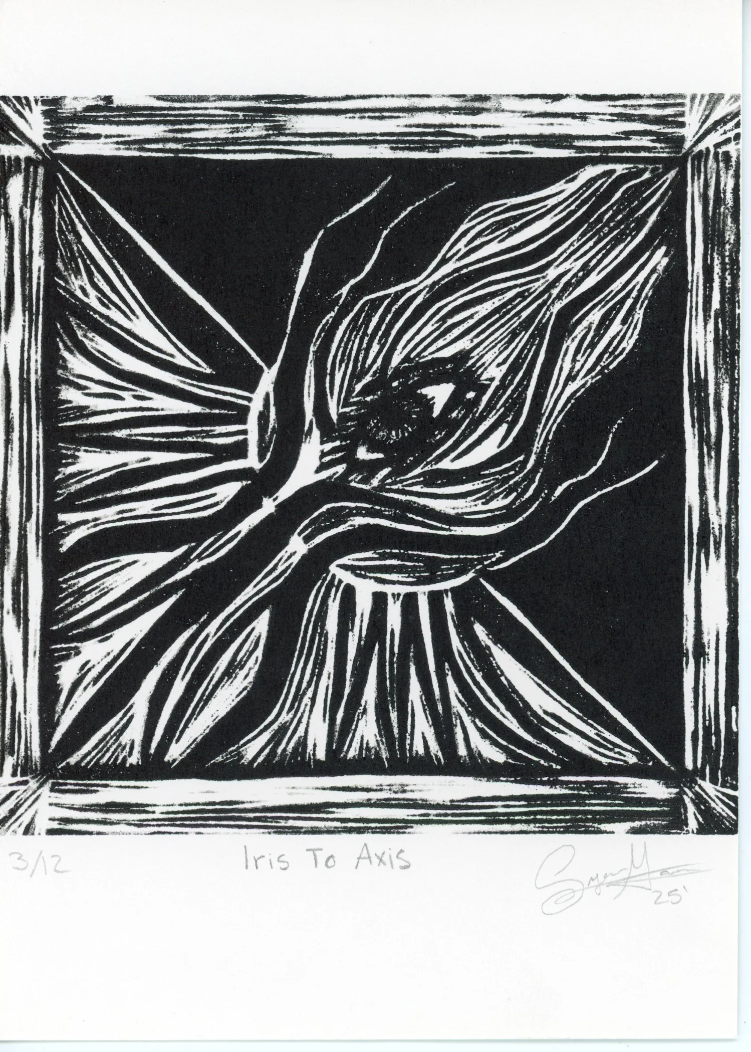PX103.jpg