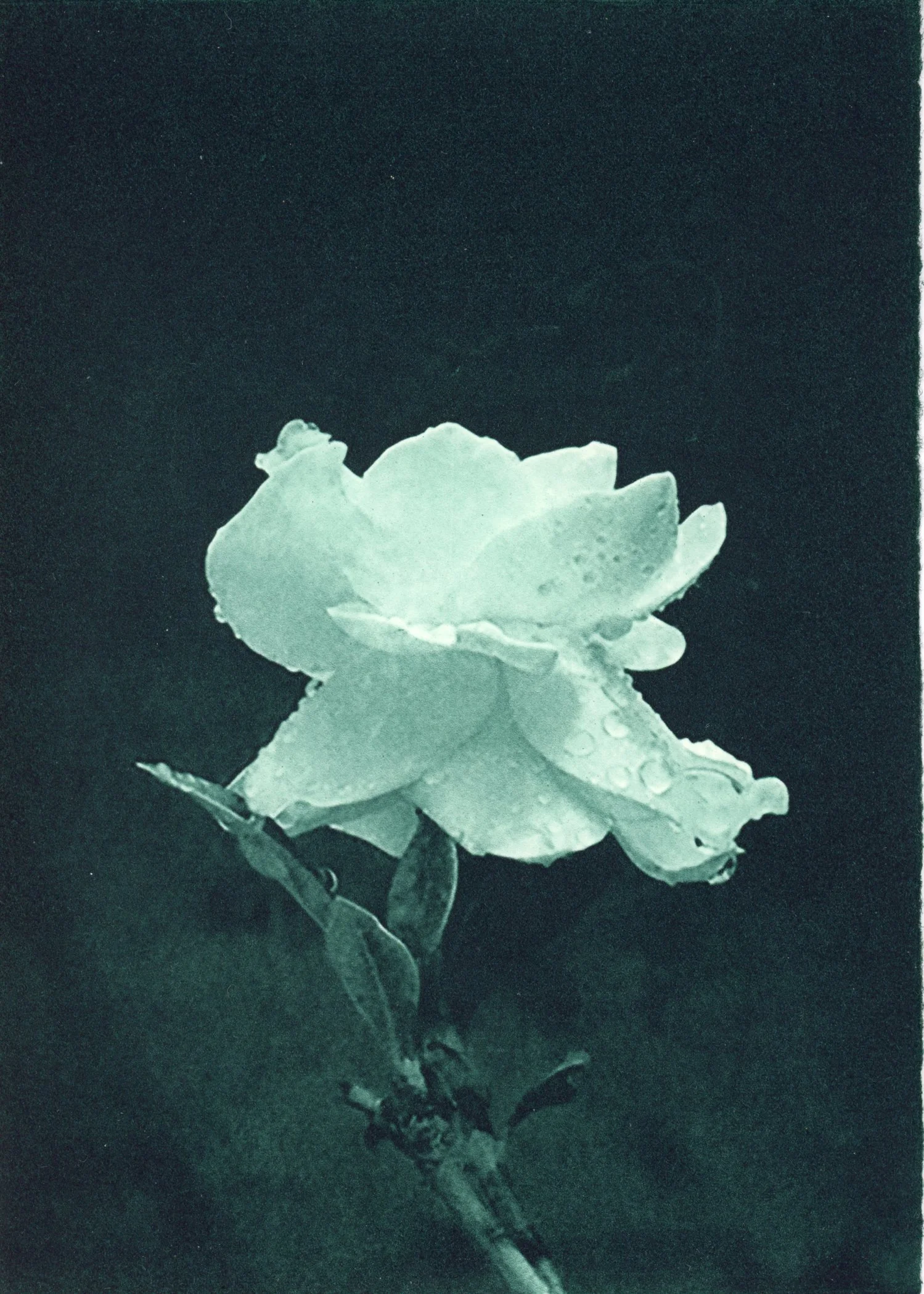 PX156.jpg