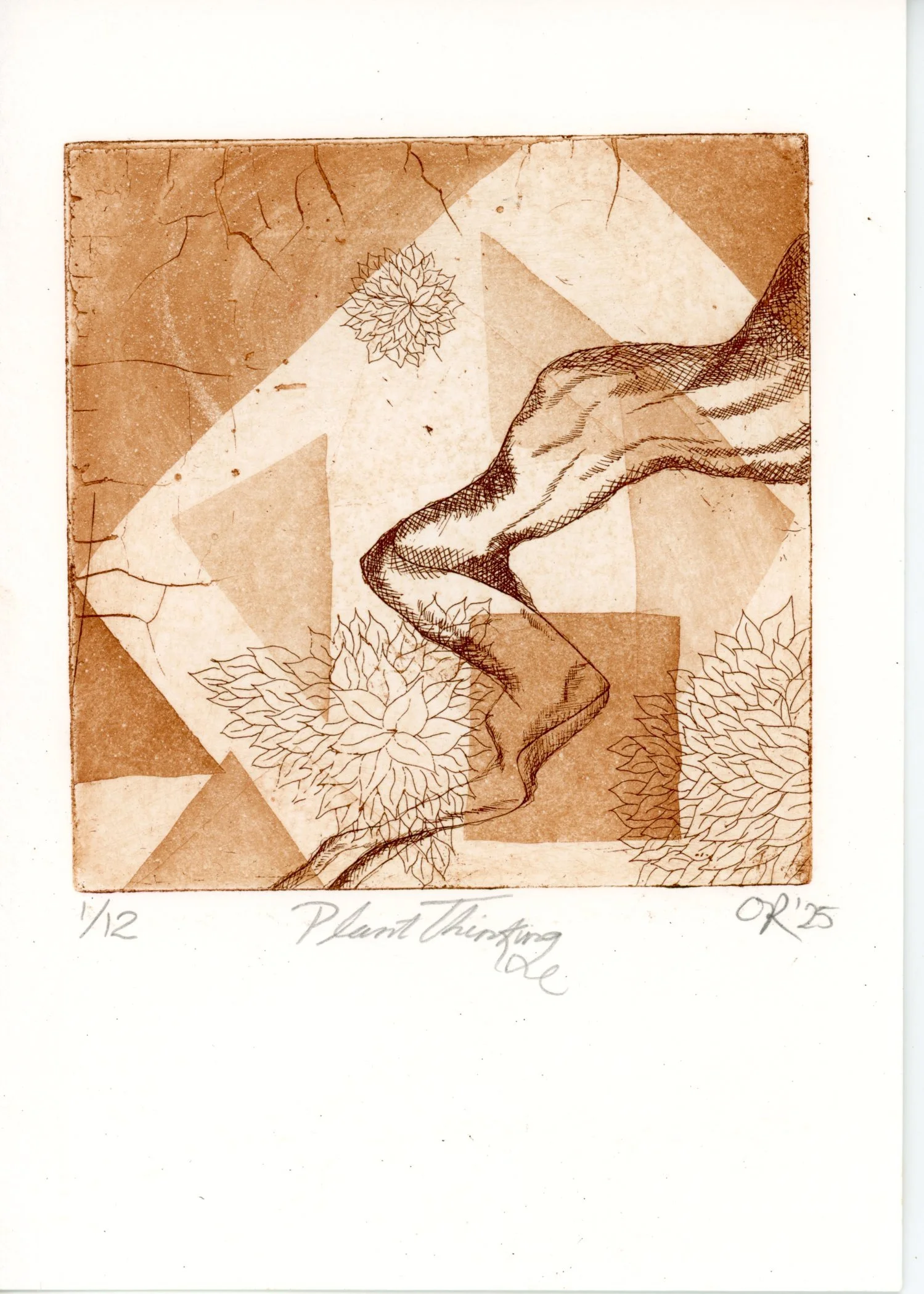 PX160.jpg