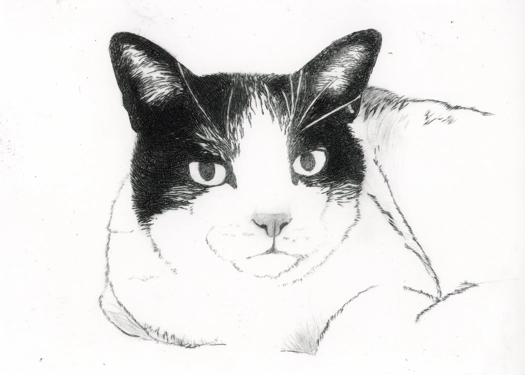 PX196.jpg