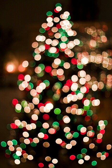 Christmas Tree Lights.jpg