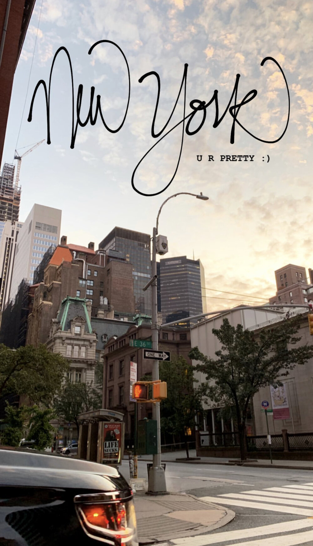 bresheppard.com : NYFW 2019 Goodbye NYC.jpg