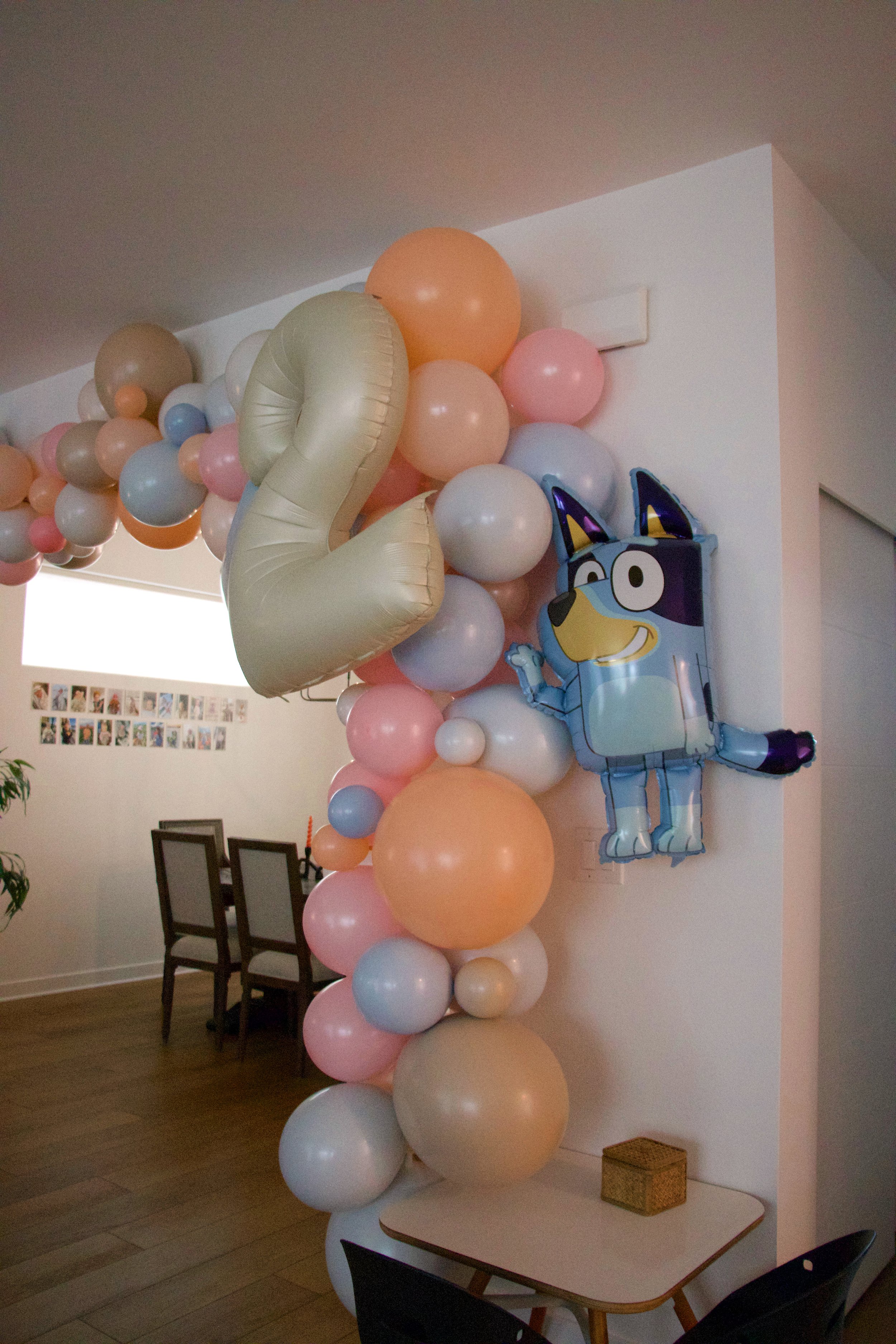 Taya Turns Two-ey (Bluey Toddler Birthday Party) - balloon arch - bresheppard.com.JPG