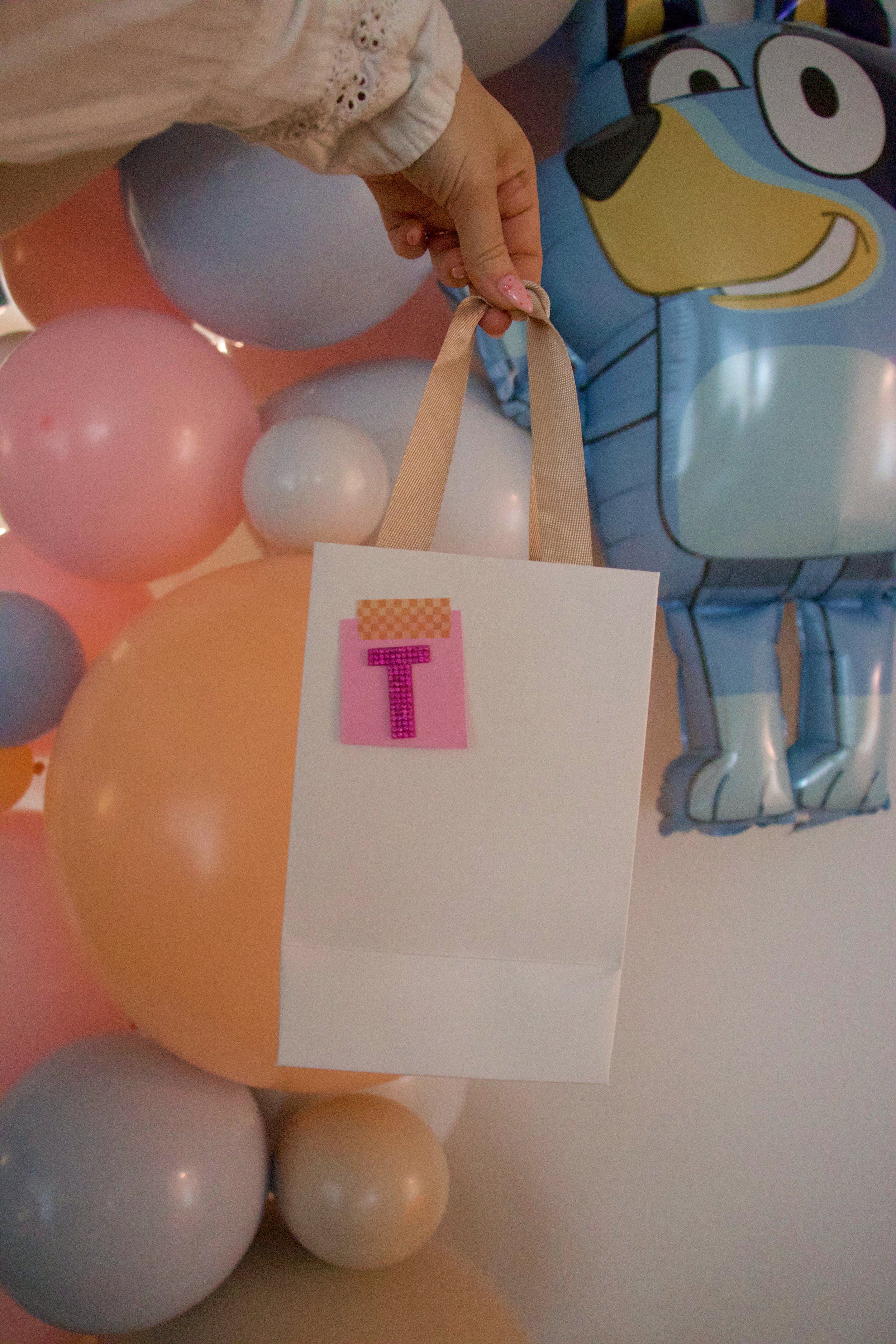 Taya Turns Two-ey (Bluey Toddler Birthday Party) - party bag - bresheppard.com.JPG