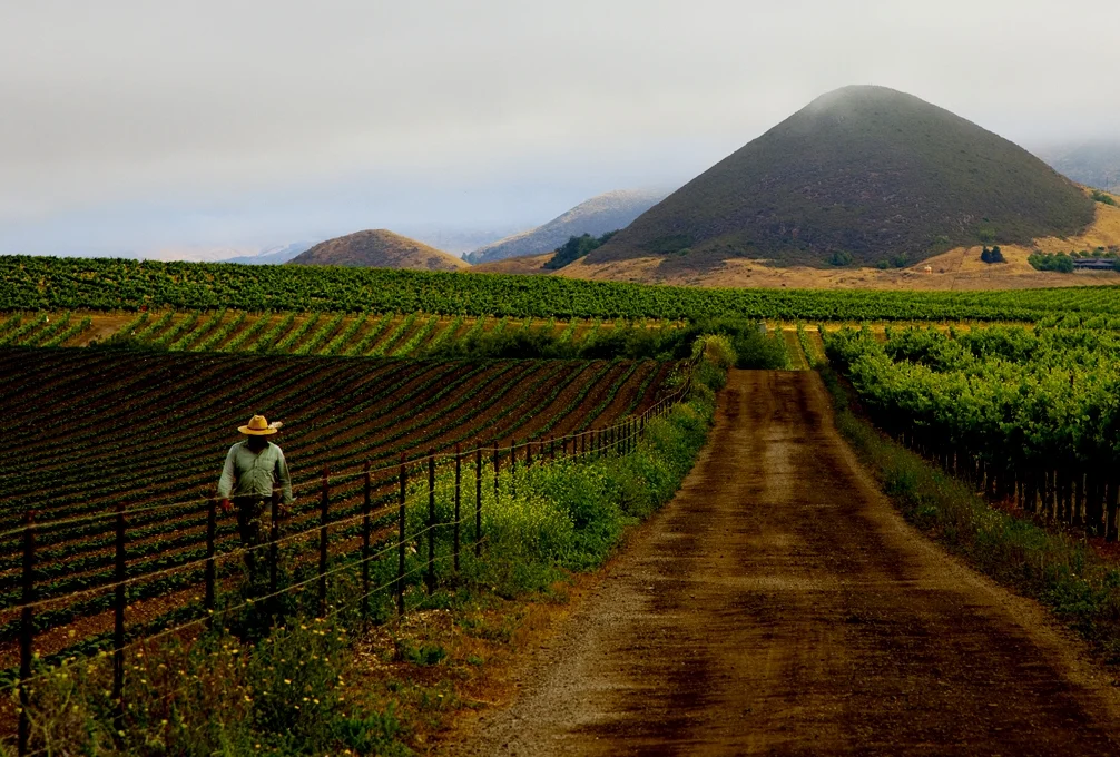 Edna Valley, San Luis Obispo