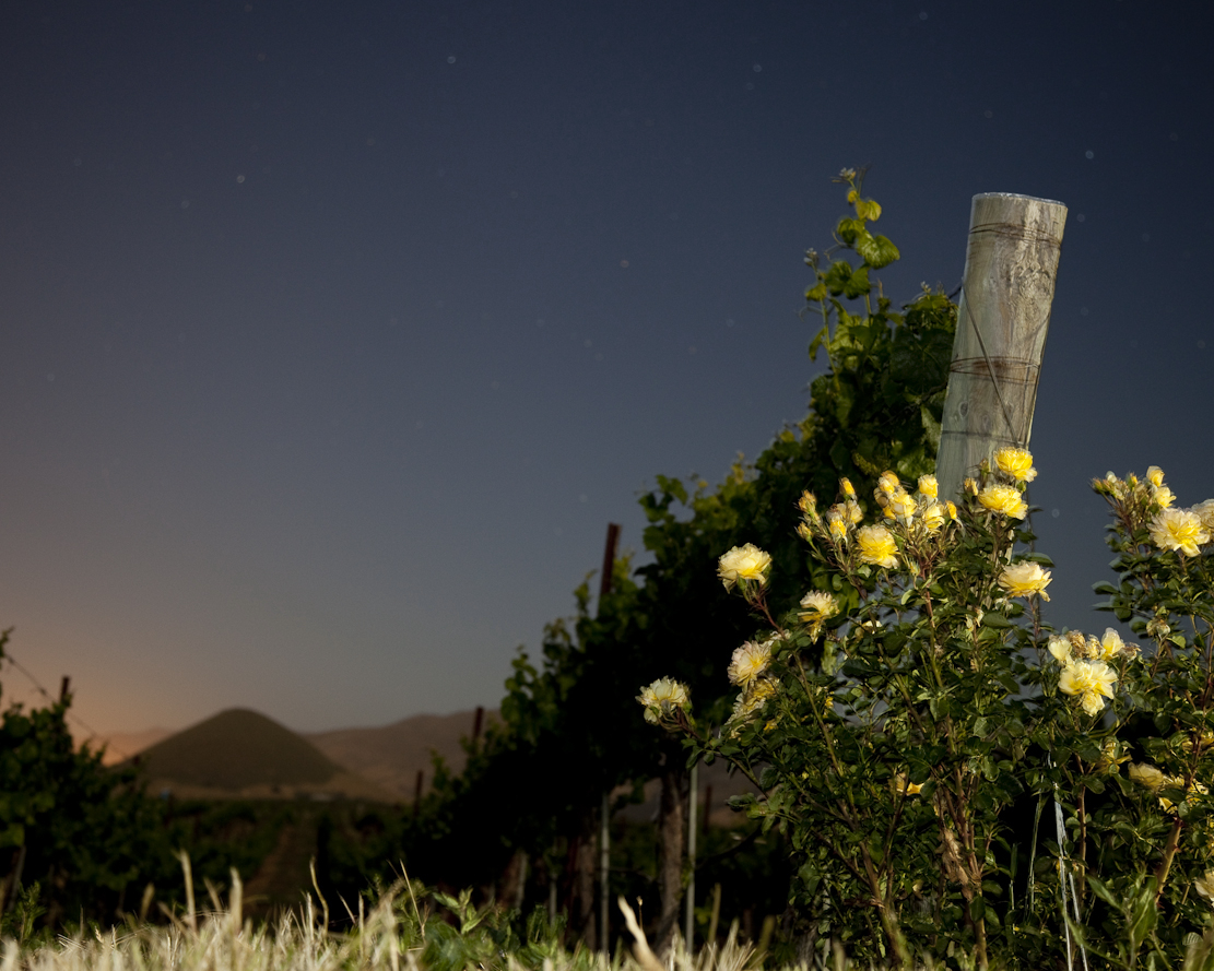 Edna Valley, San Luis Obispo