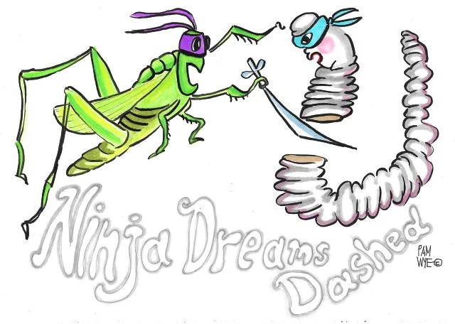NinjaDreamDashedADJUSTED WEB LARGE.jpg