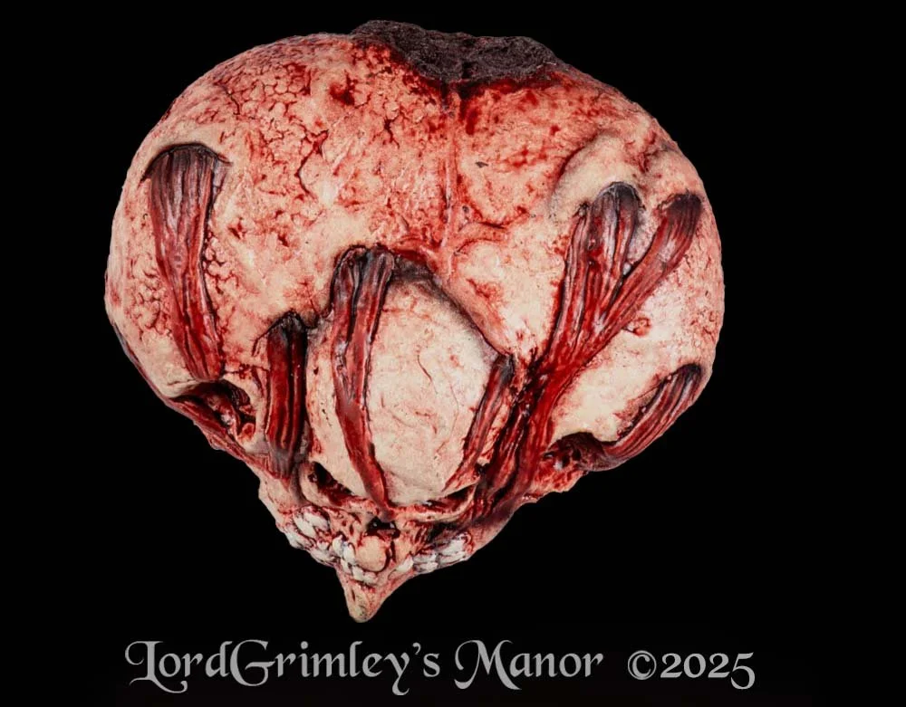 Ghoulish Productions - Horror Heart - Latex Prop - Halloween Prop - Lord Grimley's Manor