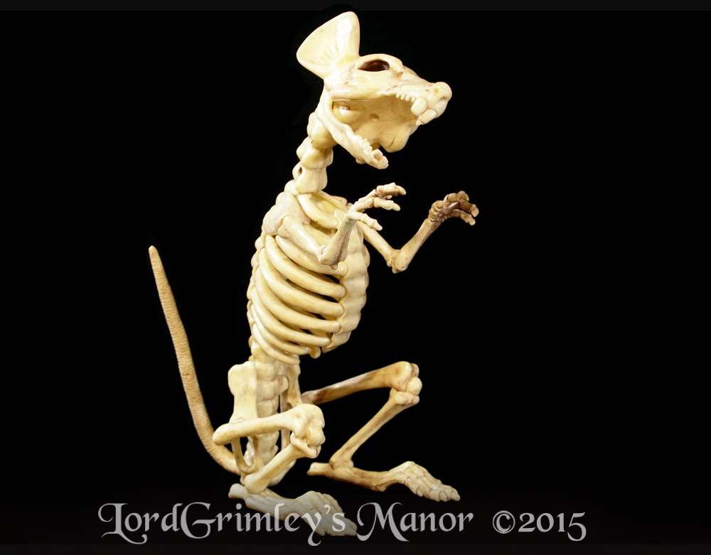 Seasons_Rat_04.jpg