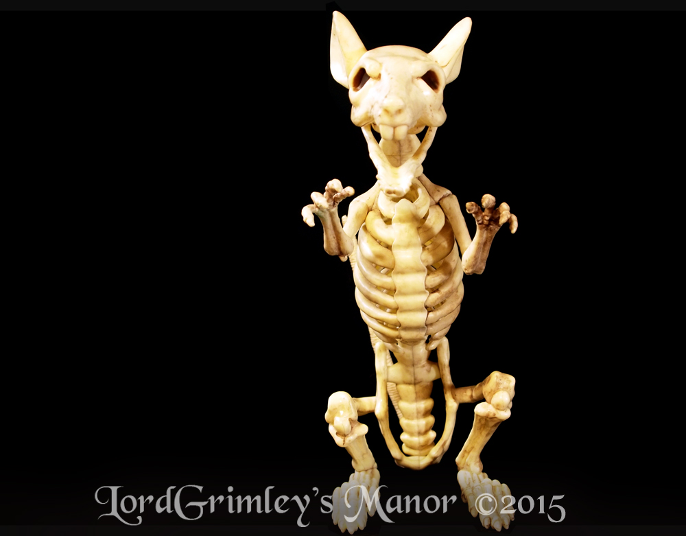 Seasons_Rat_06.jpg