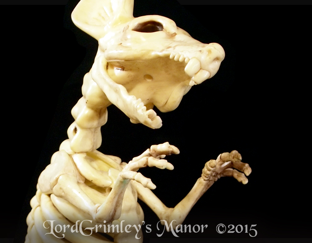 Seasons_Rat_05.jpg