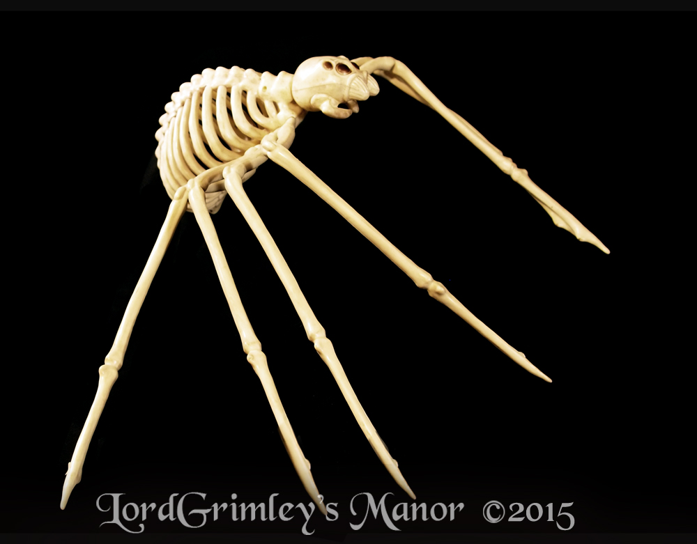 Seasons_Spider_04.jpg