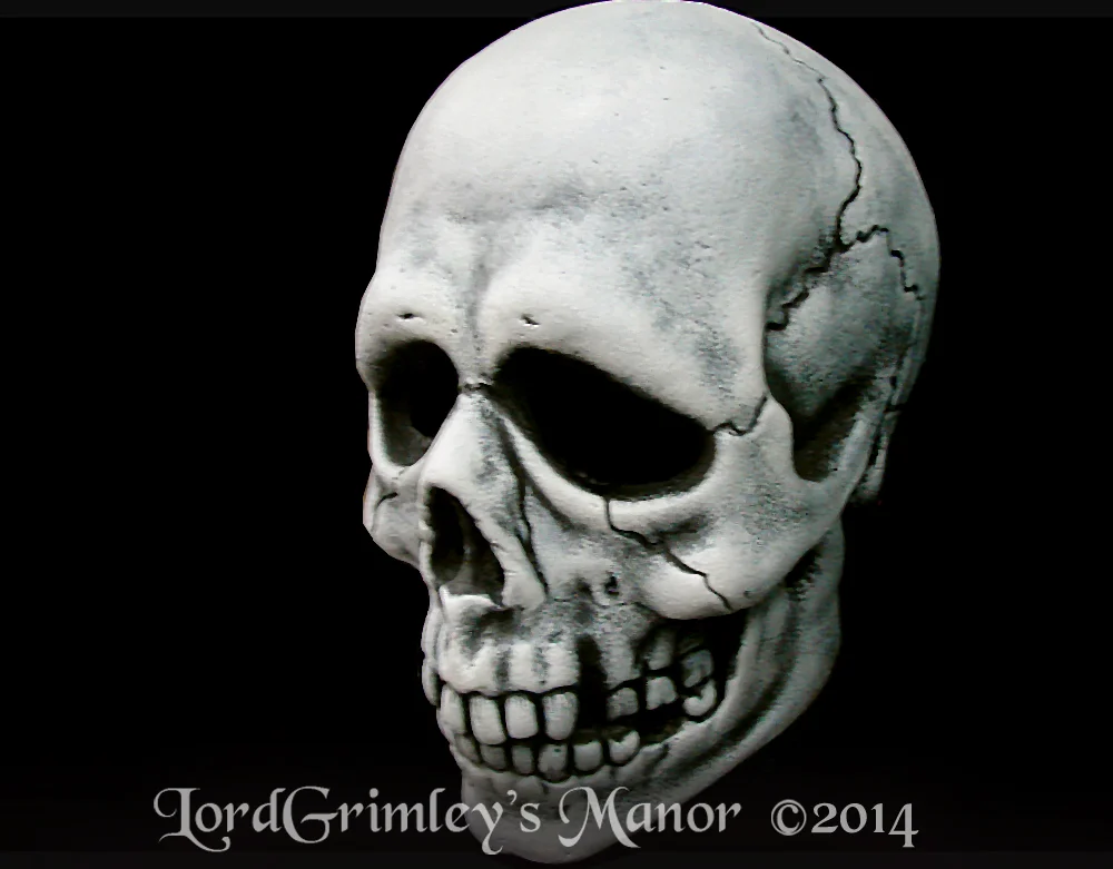 Trick_Halloween3_Skull01.jpg