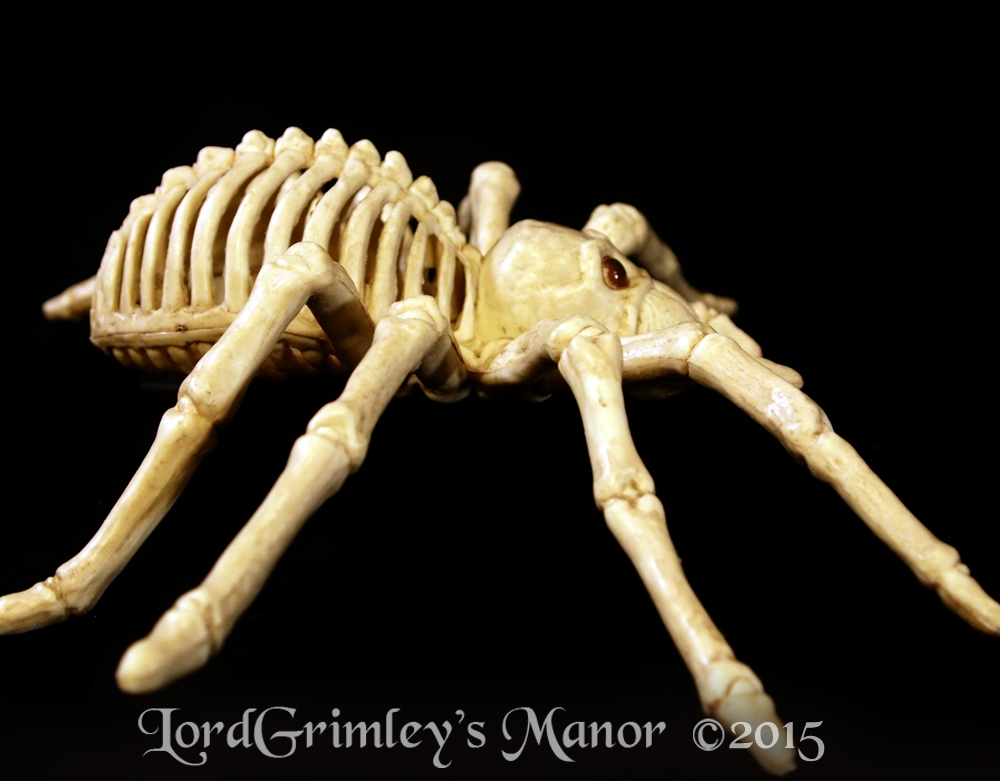Seasons_SmallSpider_06.jpg
