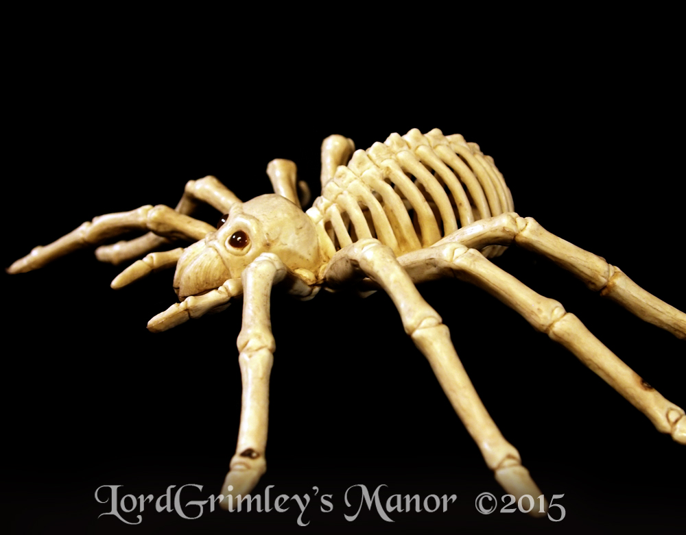 Seasons_SmallSpider_04.jpg