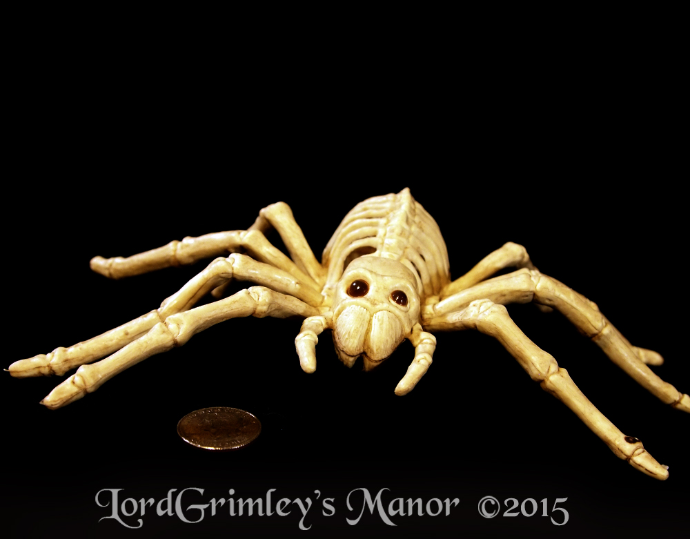 Seasons_SmallSpider_02.jpg